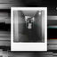 Cover 222