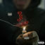 Cover Socials