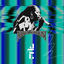 Cover Nancy Junglist