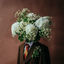 Cover Scatterbrains