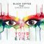 Cover Your Eyes (feat. Shekhinah)
