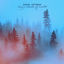 Cover Hazy Shade of Winter