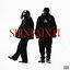 Cover Shinpainai (feat. AKLO)