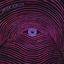 Cover Paranoia