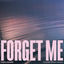 Cover Forget Me (Piano Acoustic)