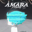 Cover ÅMARA (The Great Intelligence)