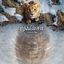 Cover Mufasa: The Lion King (Tamil Original Motion Picture Soundtrack)