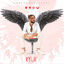 Cover RYUK