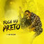 Cover Foca No Preto