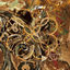 Cover Флёрография