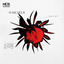 Cover Marcheur