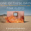 Cover The Royal Philharmonic Orchestra Plays Pink Floyd/One Of These Days