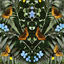 Cover aubades