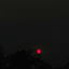 Cover red