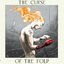 Cover The Curse of the Fold