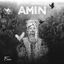 Cover Amin