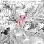 Cover RAPP2