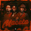 Cover Maceta