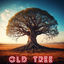 Cover Old Tree