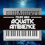 Cover Aquatic Ambience (From "Donkey Kong Country")