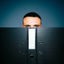 Cover BWL