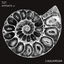 Cover Ammonite EP