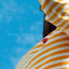 Cover North Face