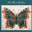 Cover House Of Love