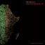 Cover African Paradigm