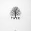 Cover Tree