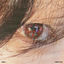 Cover I Want You