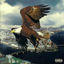 Cover Streets Echo 2052