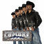 Cover Te Amo