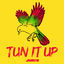 Cover Tun It Up