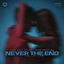 Cover Never The End