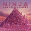 Cover Ninja