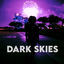 Cover Dark Skies