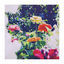 Cover Jaqueta