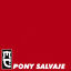 Cover Pony Salvaje