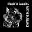 Cover Beautiful Damages