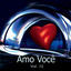Cover Amo Você Vol. 12