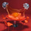 Cover Disco no Tamago