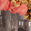 Cover Microcastle