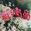 Cover Friends. Lovers. Favorites