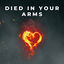 Cover Died In Your Arms