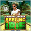 Cover Feeling Irie