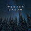 Cover Winter Dream