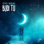 Cover Budi tu