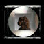 Cover Transparent
