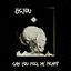 Cover Can You Feel My Heart